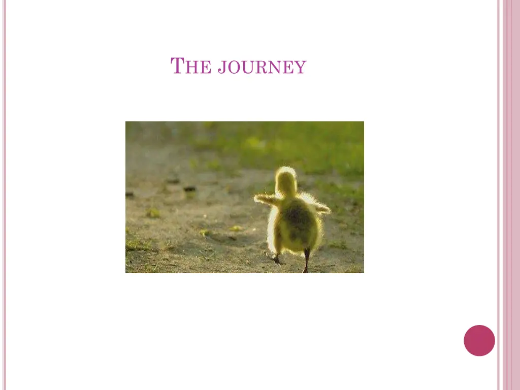 t he journey