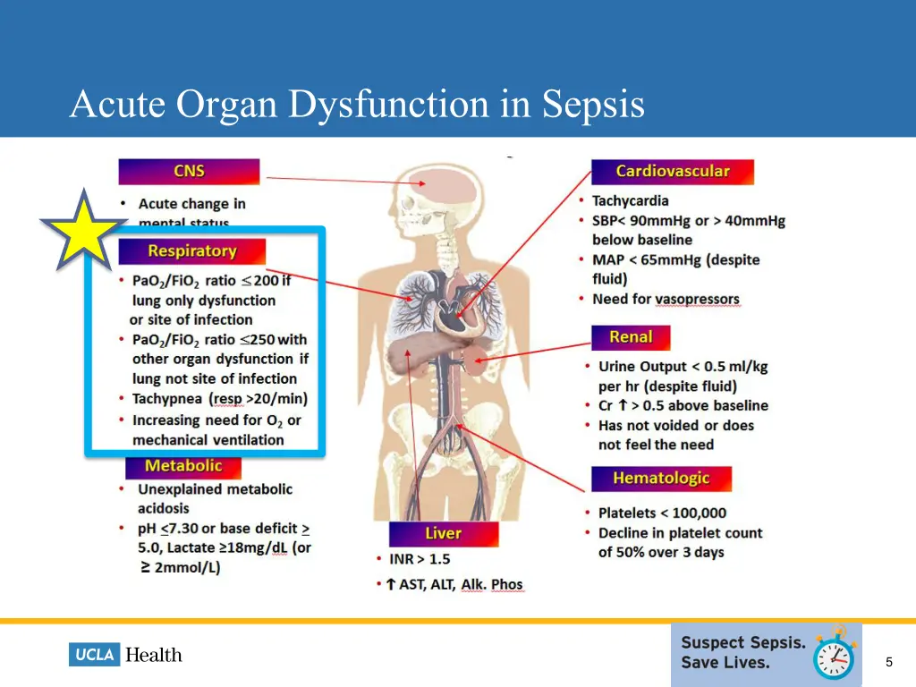 acute organ dysfunction in sepsis