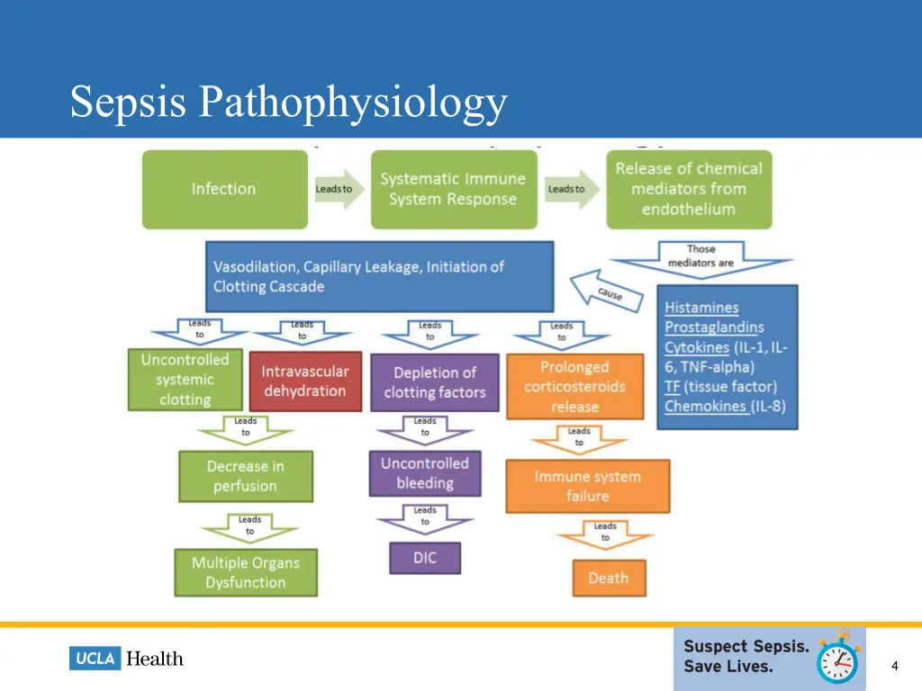 sepsis pathophysiology