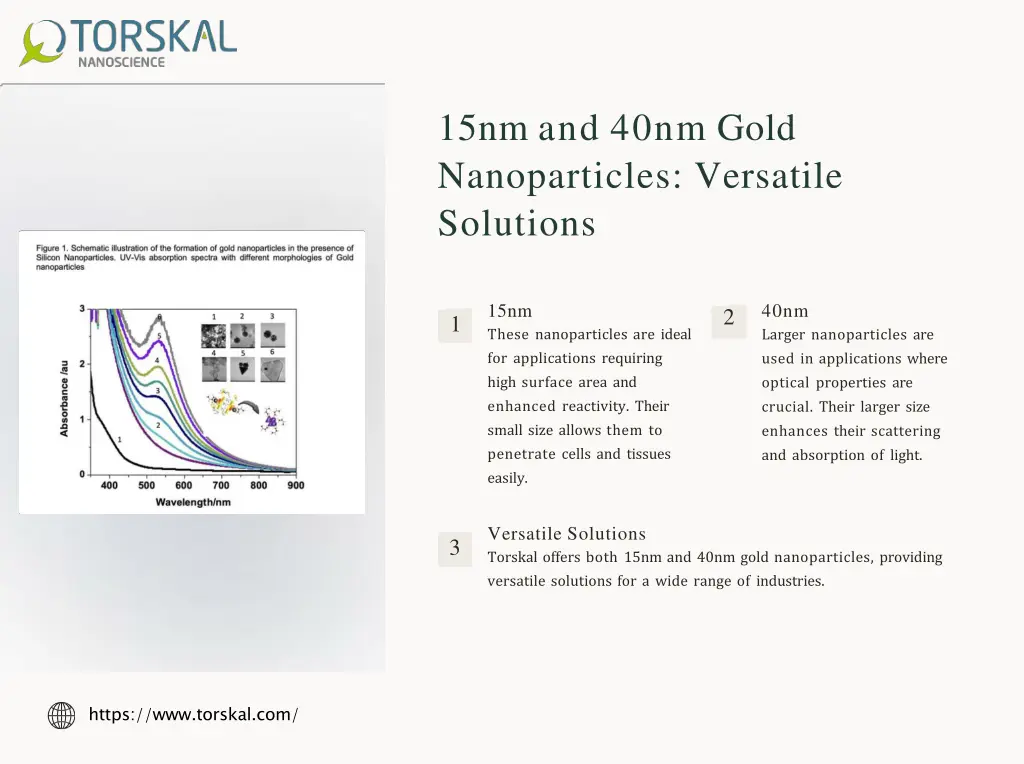 15nm and 40nm gold nanoparticles versatile