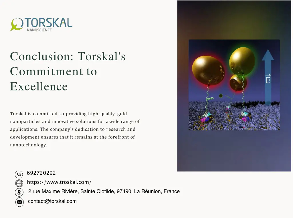 conclusion torskal s commitment to excellence