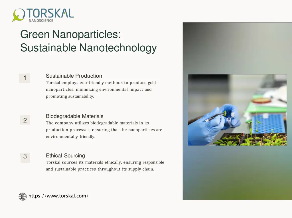 green nanoparticles sustainable nanotechnology