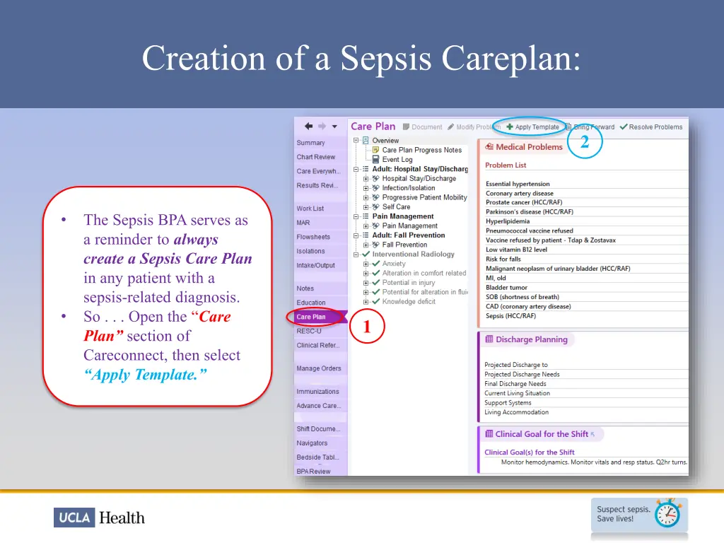 creation of a sepsis careplan