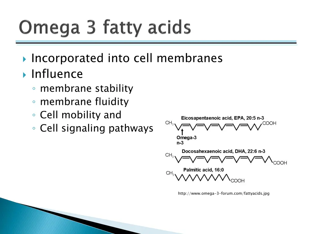 incorporated into cell membranes influence