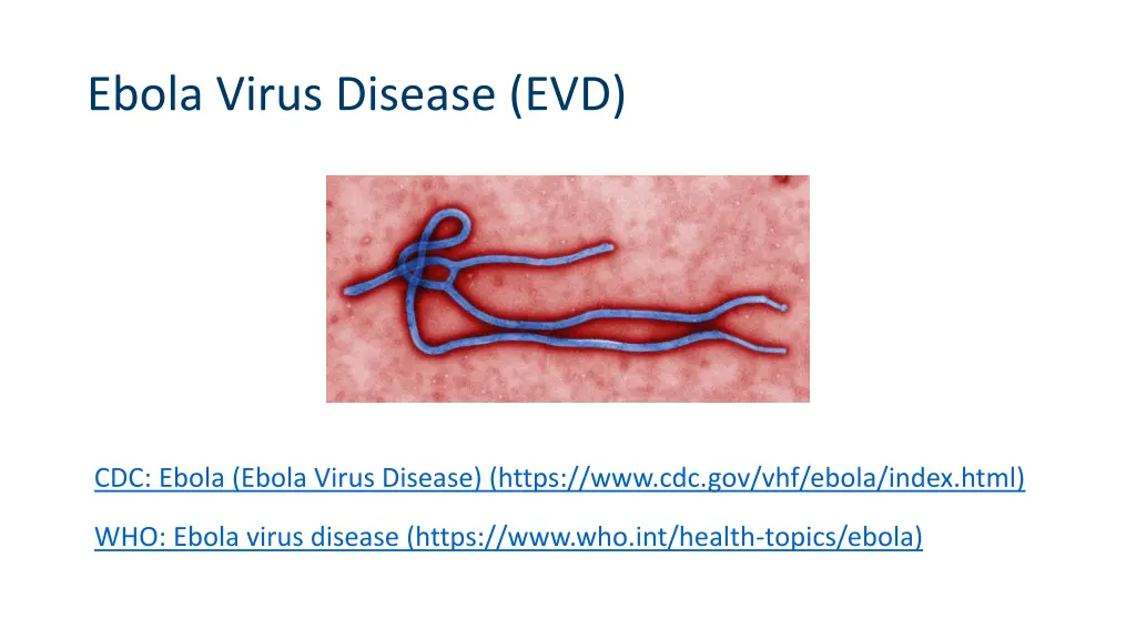 ebola virus disease evd