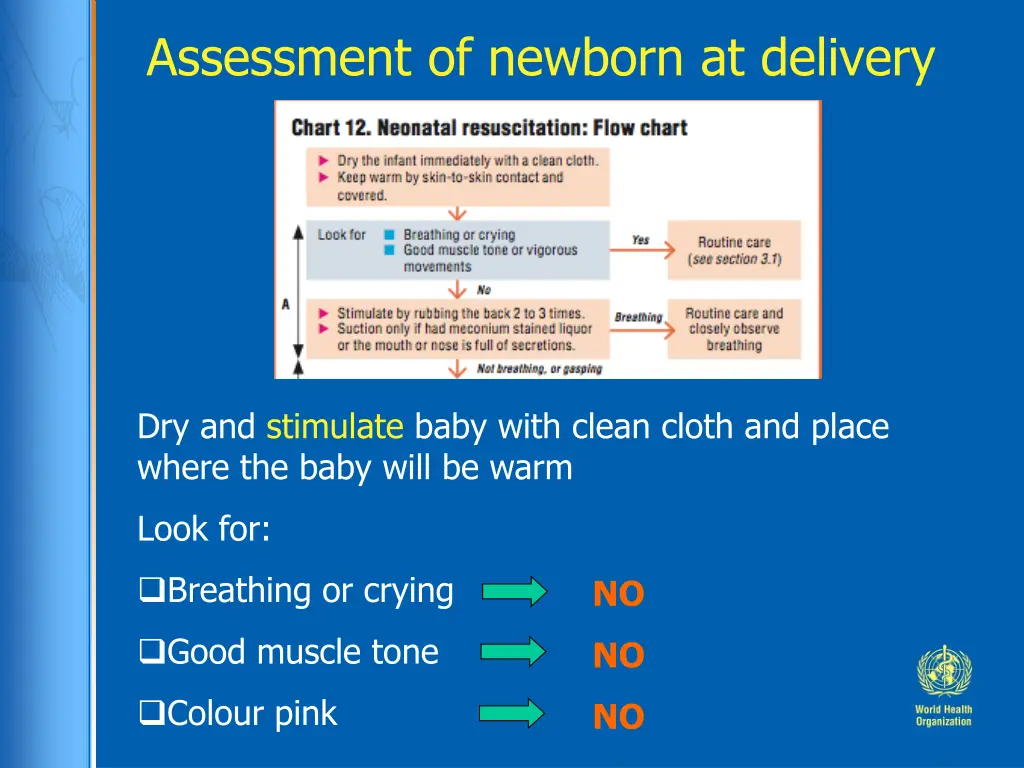 assessment of newborn at delivery