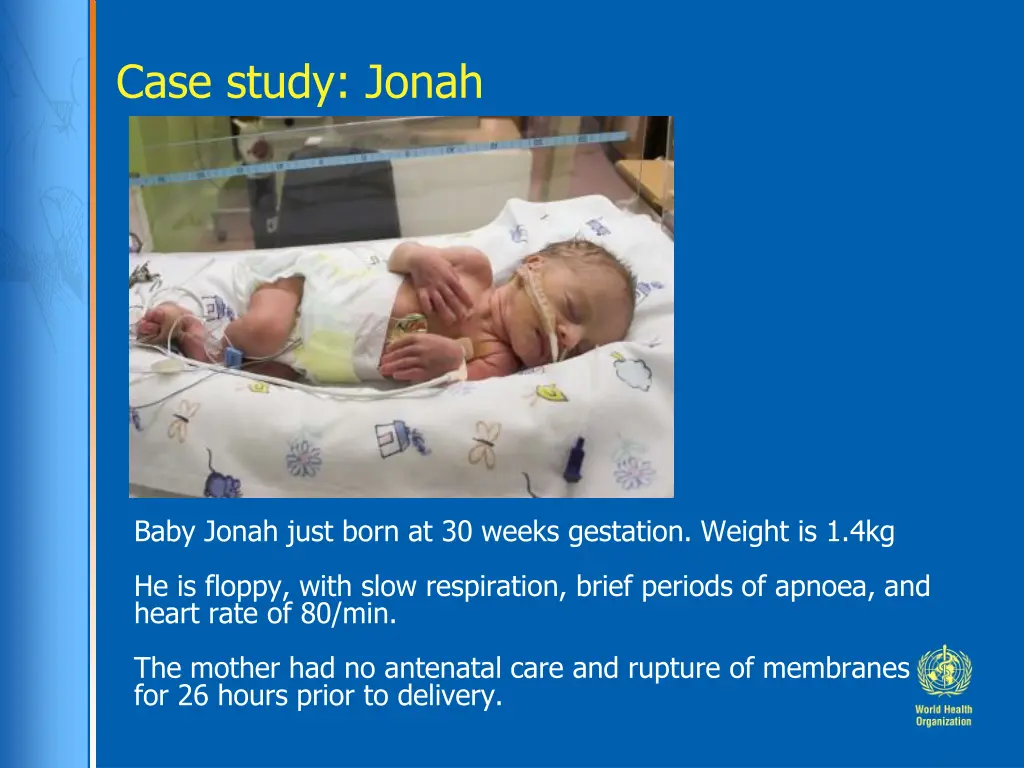 case study jonah