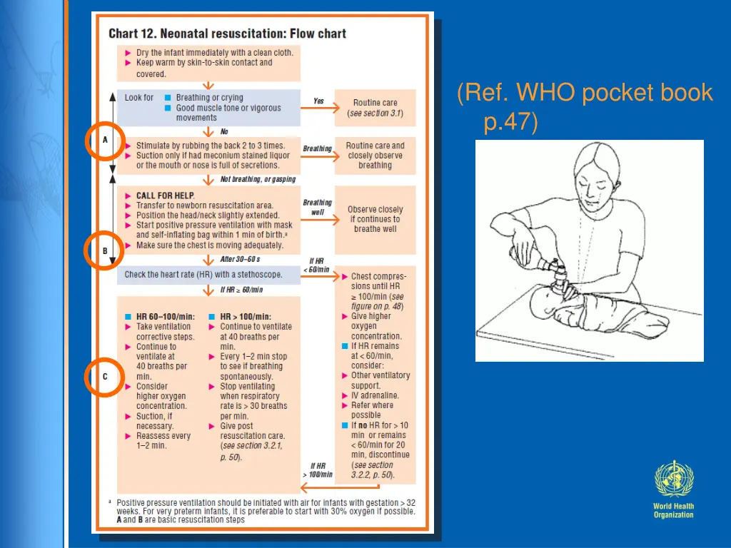 ref who pocket book p 47