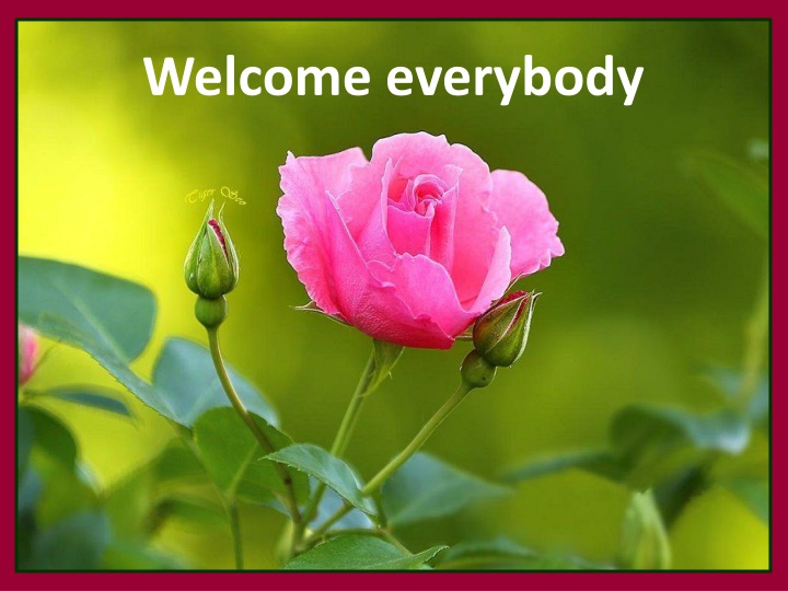 welcome everybody