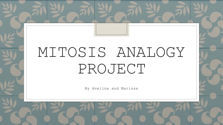 mitosis analogy project