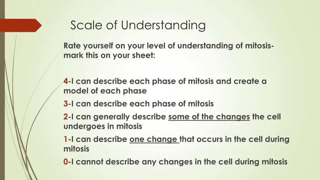 scale of understanding