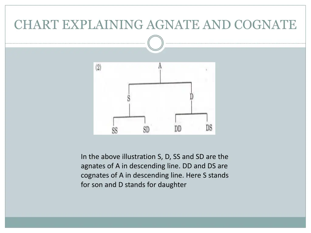 chart explaining agnate and cognate 2