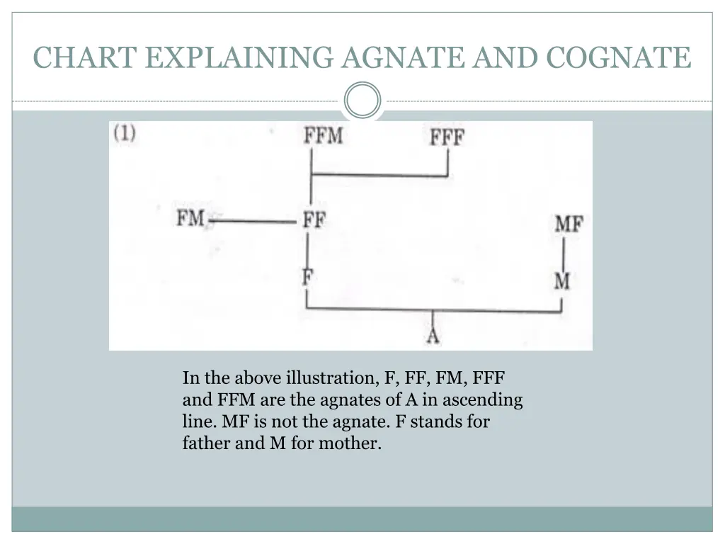 chart explaining agnate and cognate