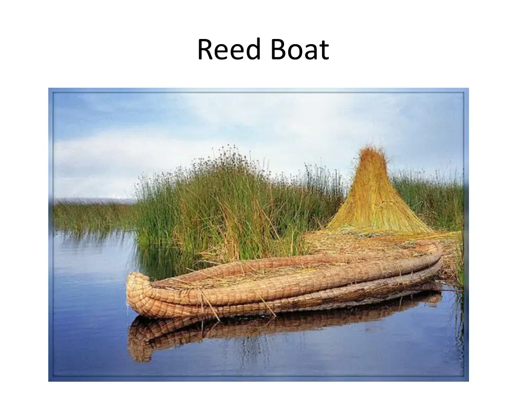 reed boat