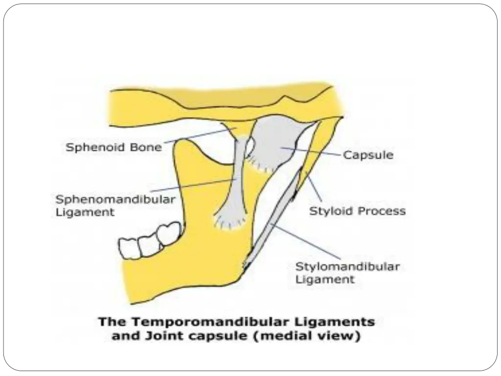 slide11