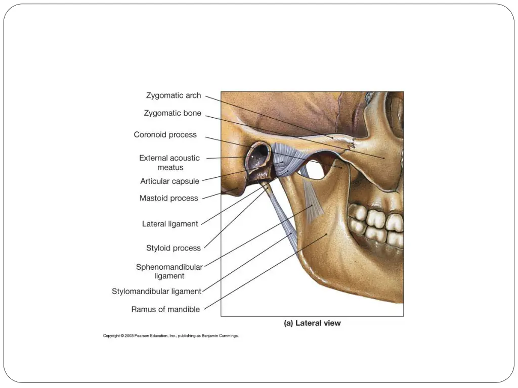 slide7