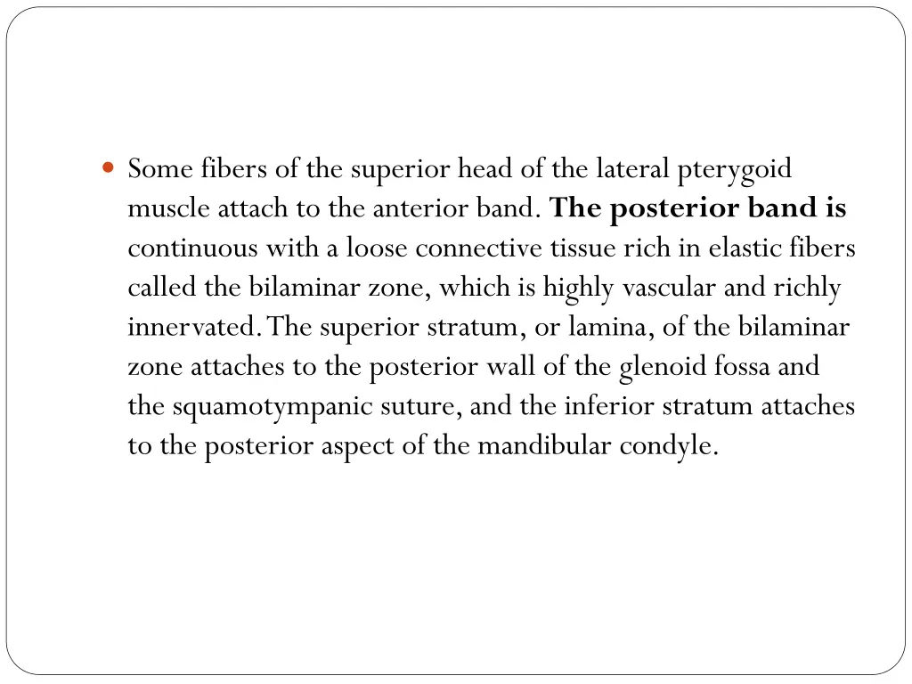 some fibers of the superior head of the lateral