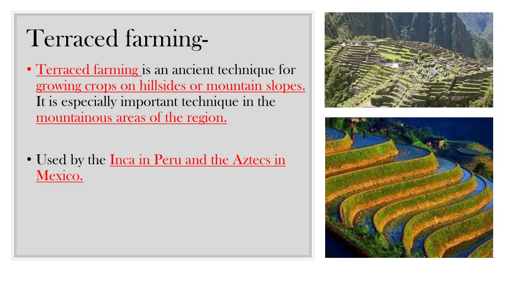 terraced farming