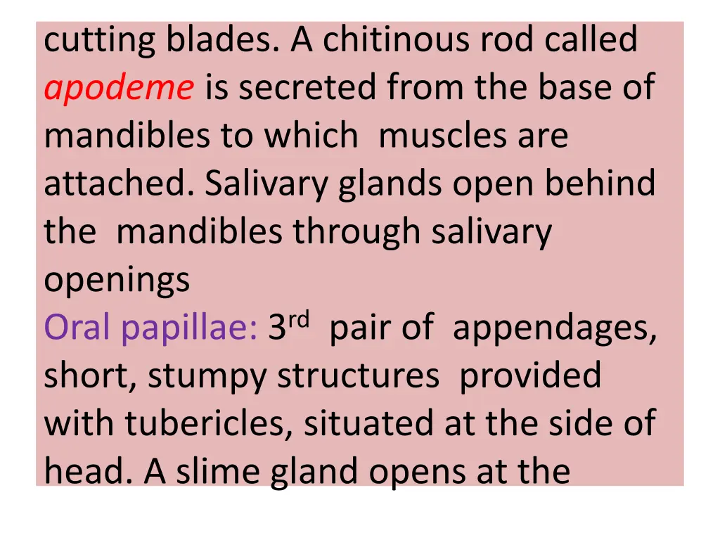 cutting blades a chitinous rod called apodeme