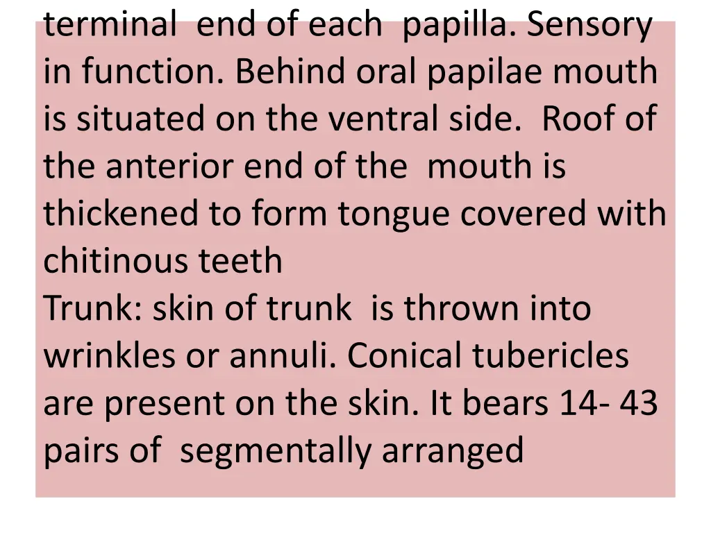 terminal end of each papilla sensory in function