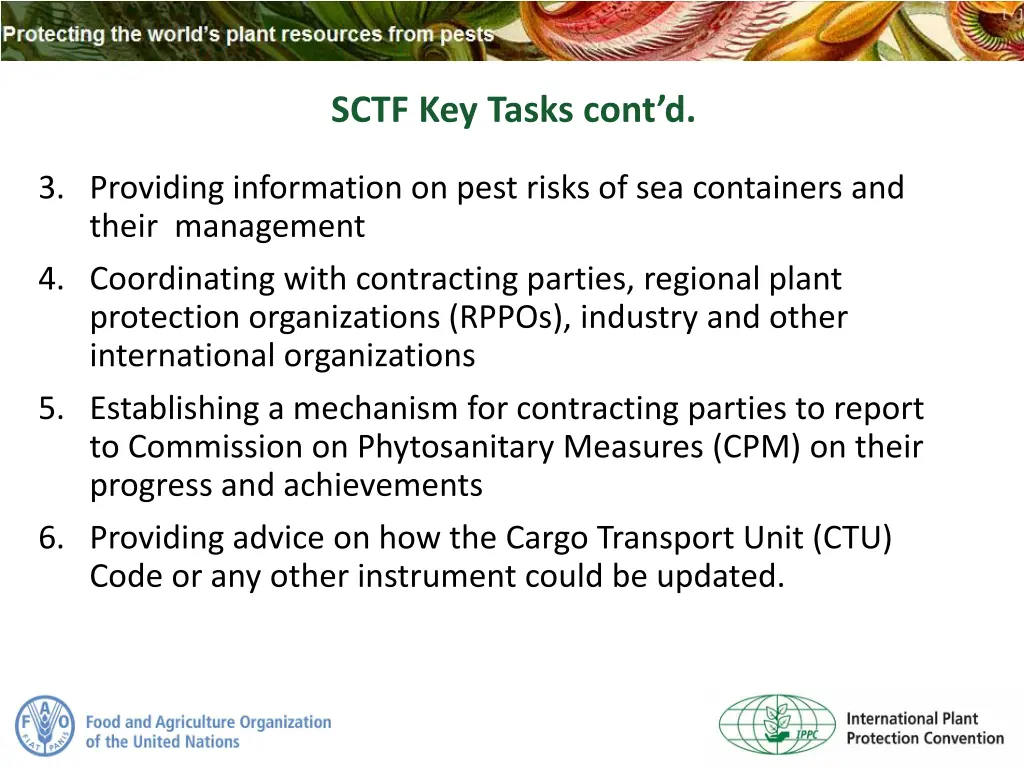 sctf key tasks cont d 1