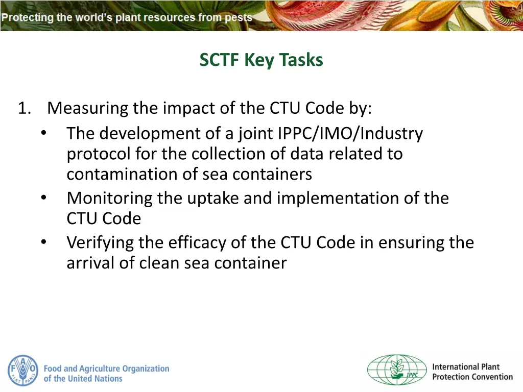 sctf key tasks