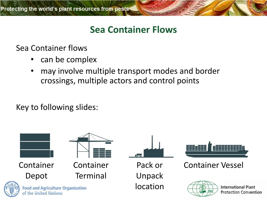 sea container flows