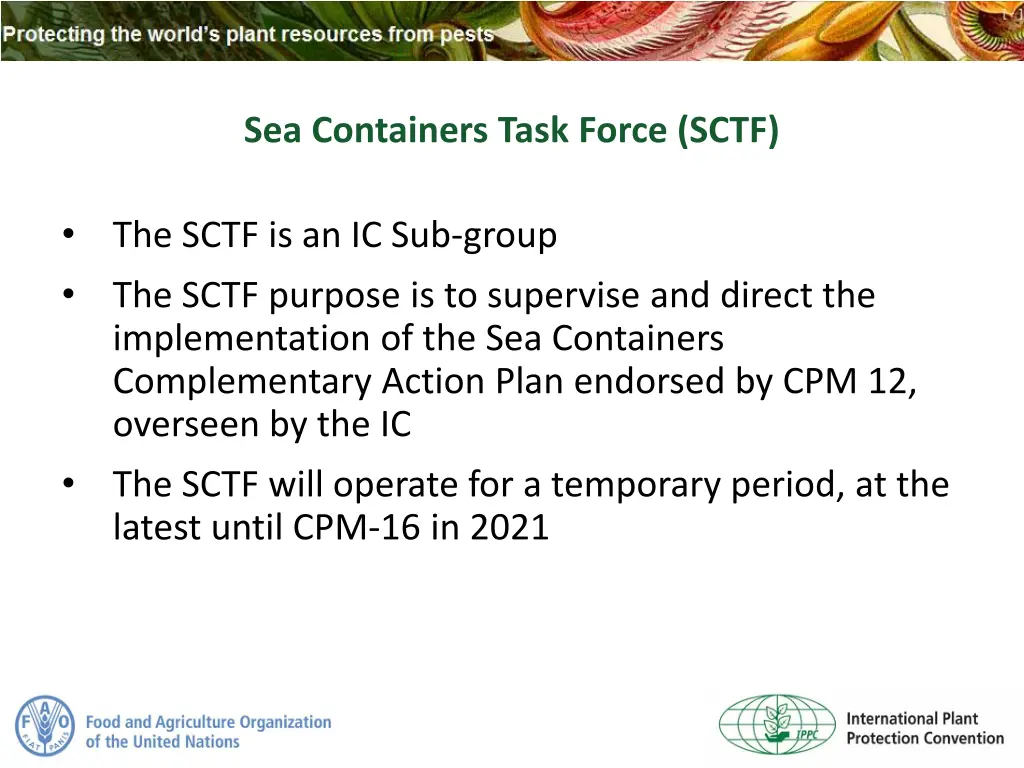 sea containers task force sctf