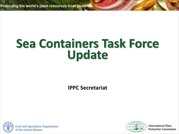 sea containers task force update