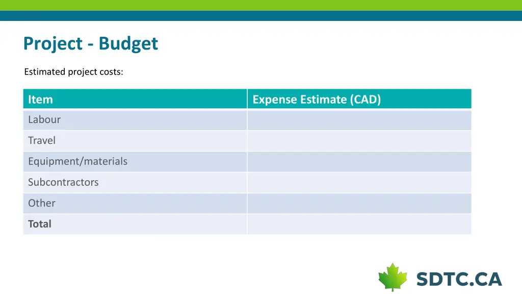 project budget