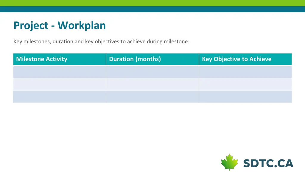 project workplan