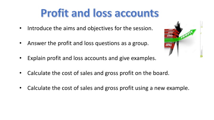 profit and loss accounts