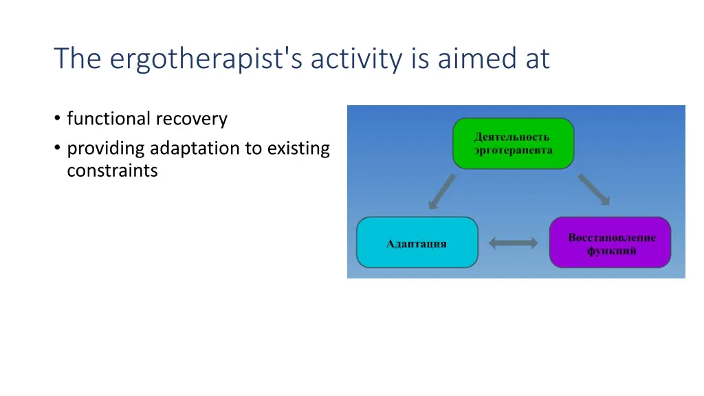 the ergotherapist s activity is aimed at