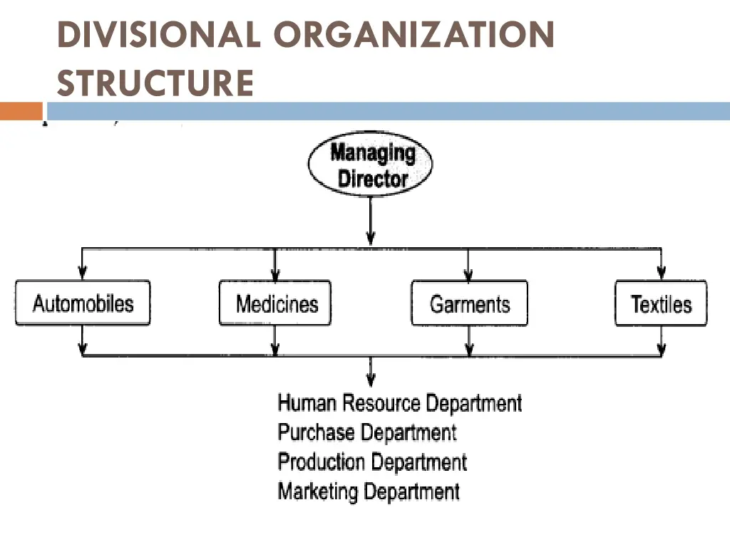 divisional organization structure 1