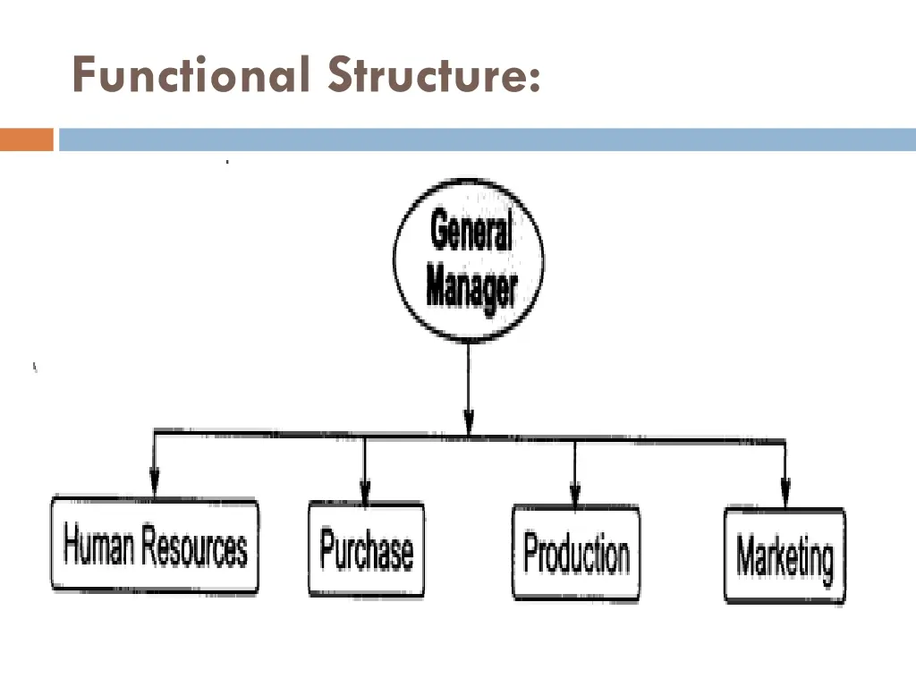 functional structure 1