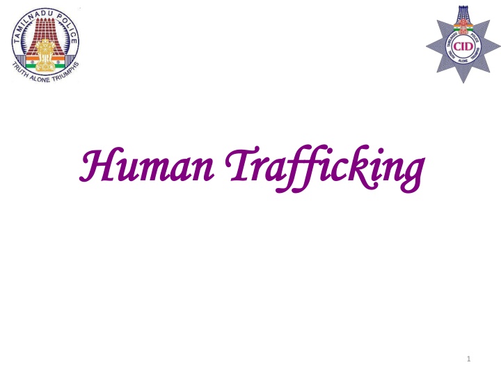 human trafficking human trafficking