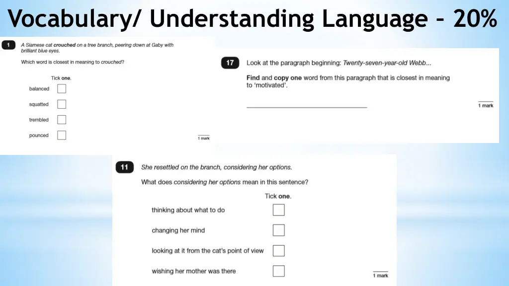 vocabulary understanding language 20