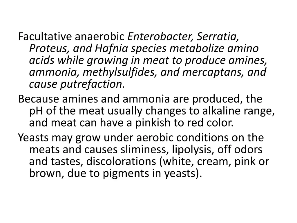 facultative anaerobic enterobacter serratia