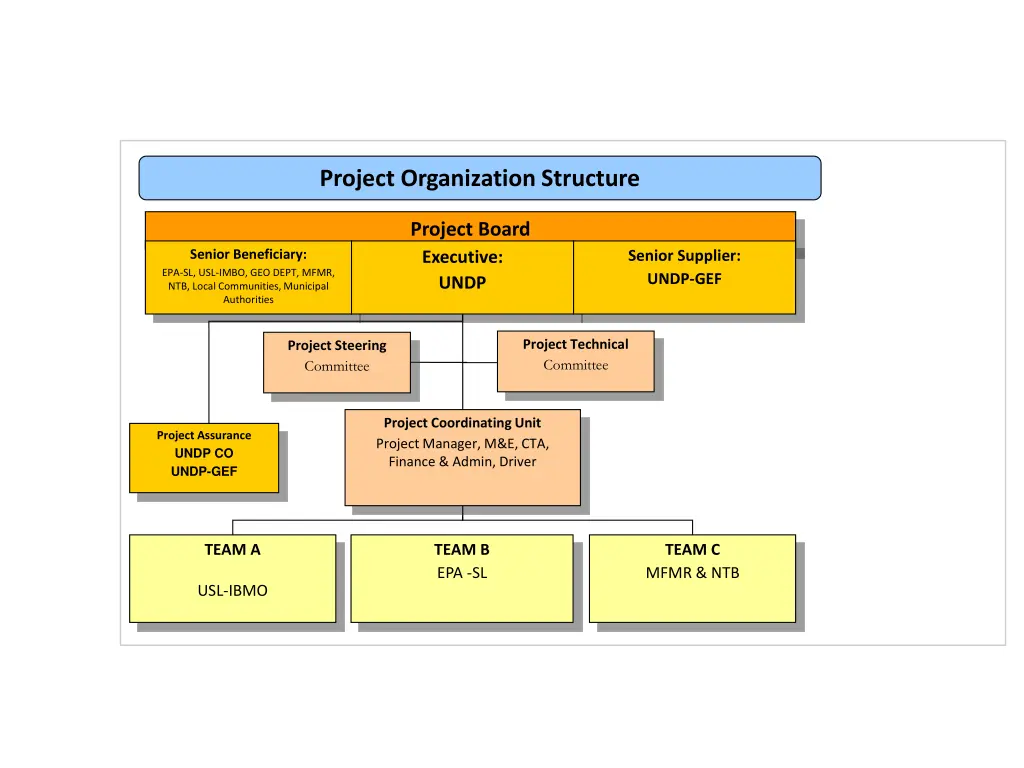 project organization structure