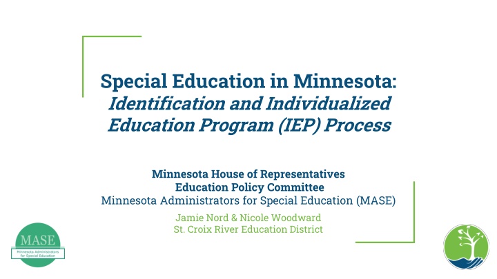 special education in minnesota identification