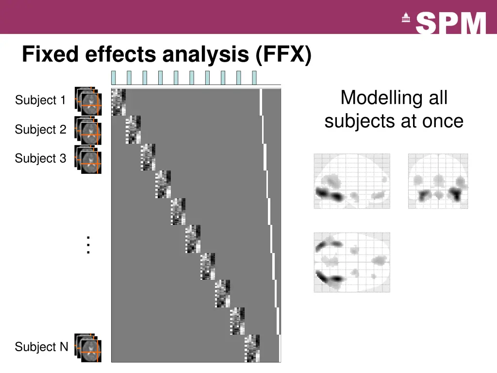 fixed effects analysis ffx