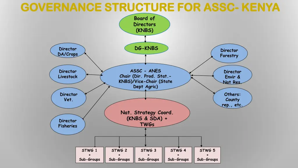 governance governance structure for assc