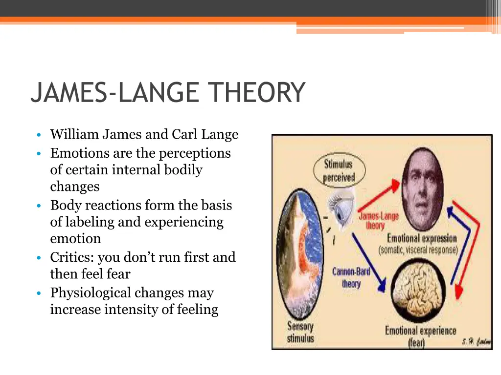 james lange theory