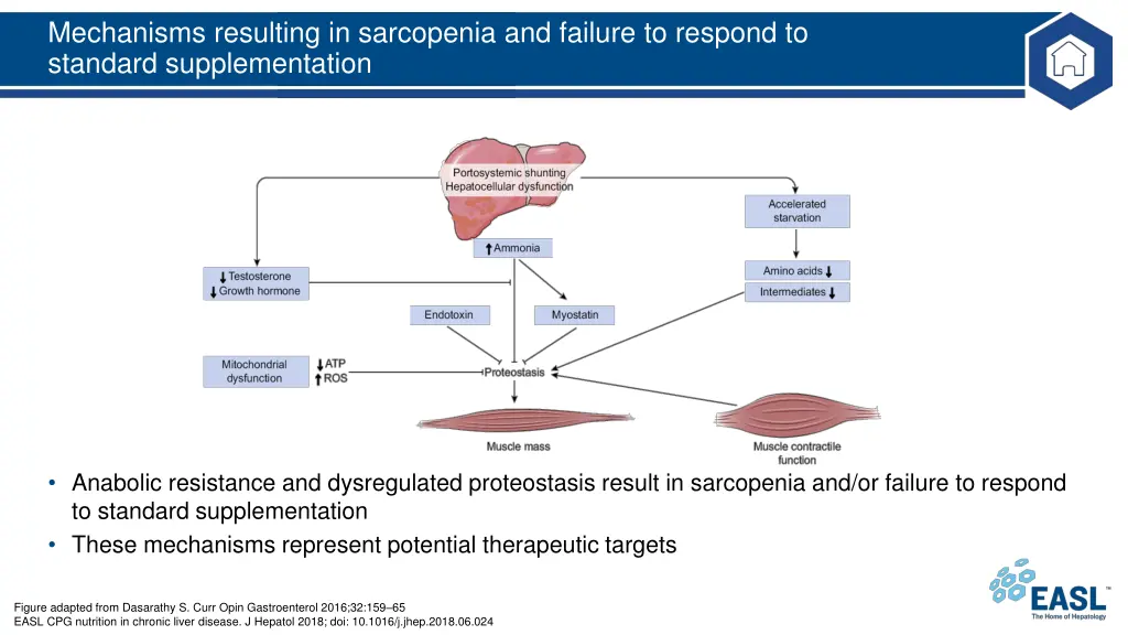 mechanisms resulting in sarcopenia and failure