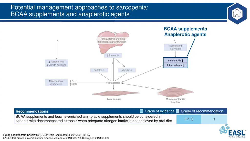 potential management approaches to sarcopenia 1