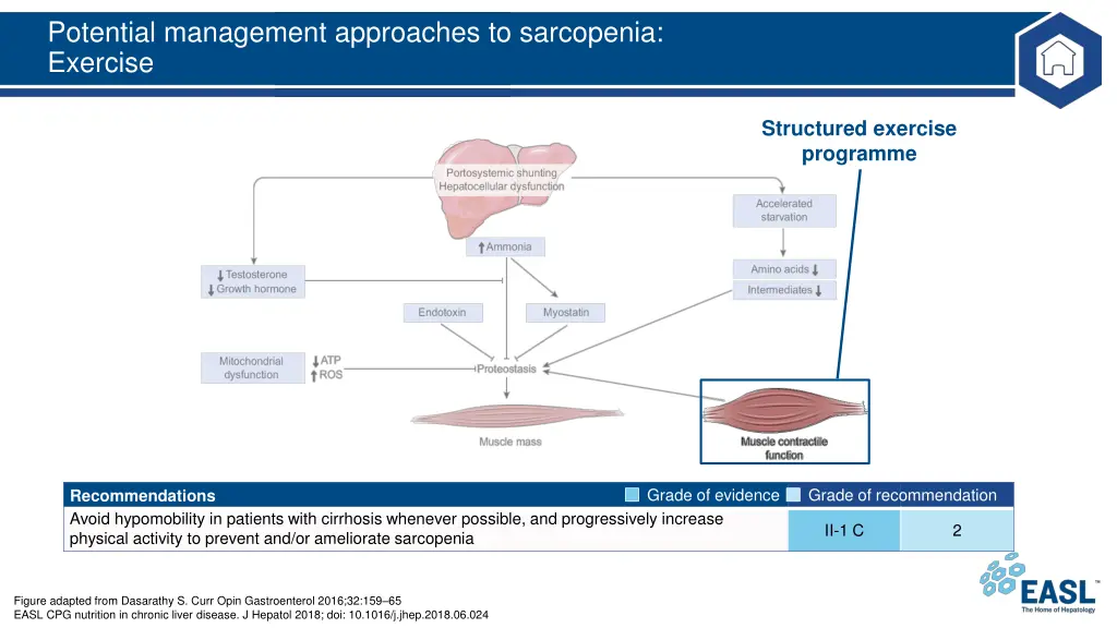 potential management approaches to sarcopenia 2