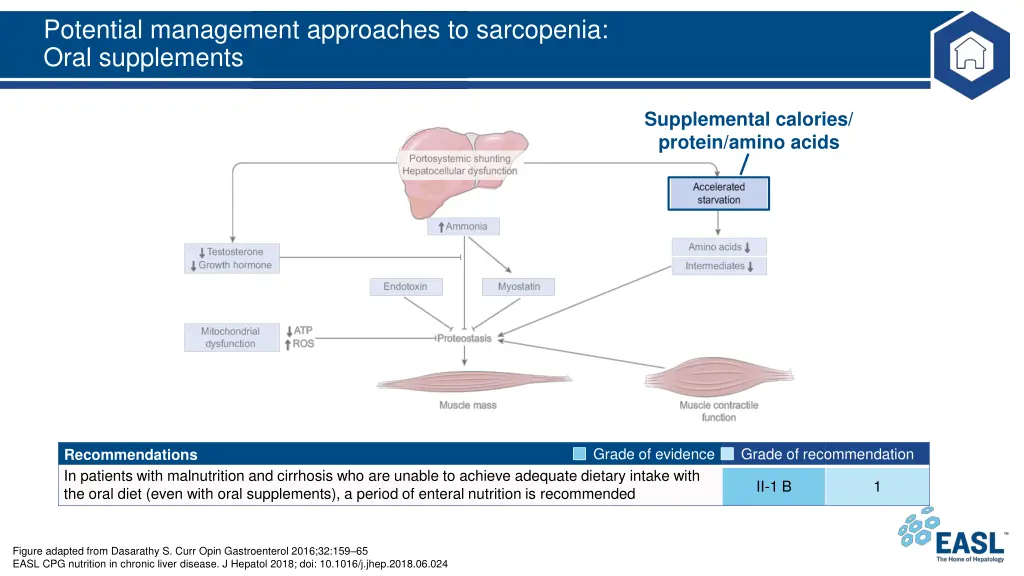 potential management approaches to sarcopenia