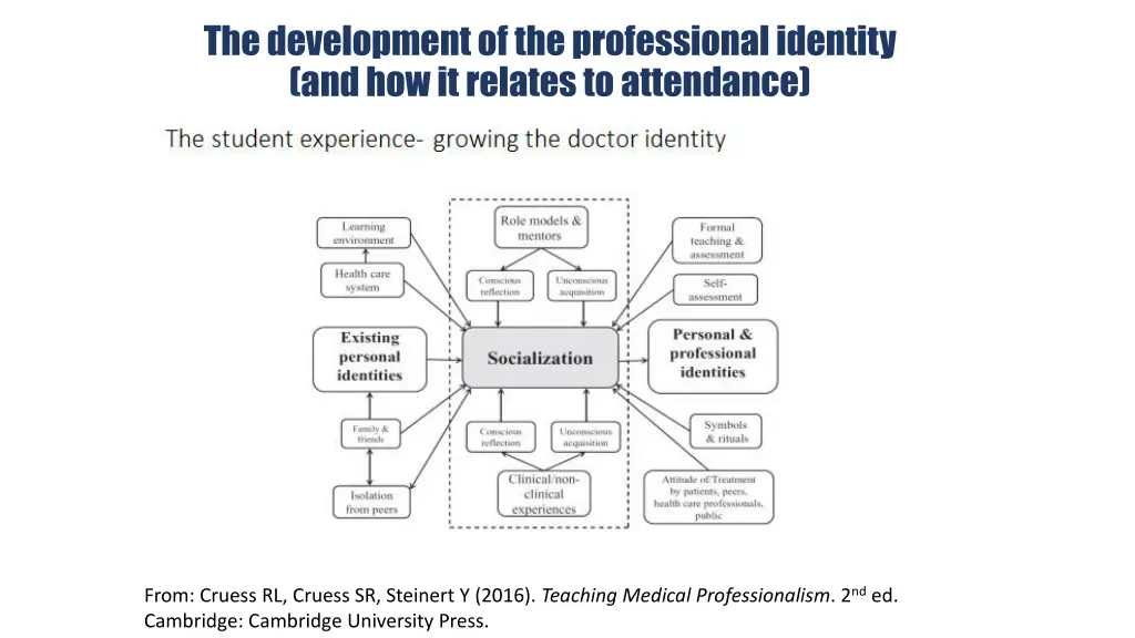 the development of the professional identity