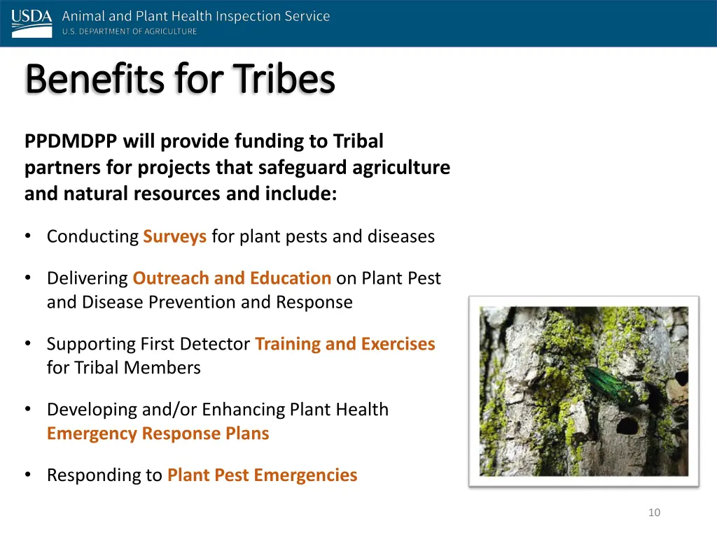 benefits for tribes benefits for tribes