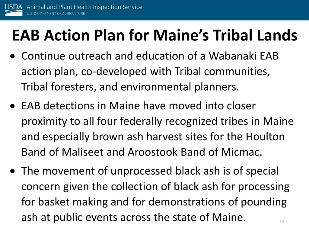 eab action plan for maine s tribal lands continue